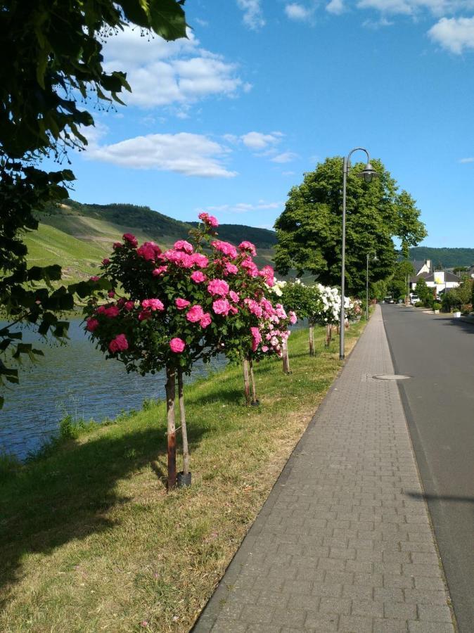 Ferienwohnungen Und Gaestezimmer Peter Busch Bernkastel-Kues Exterior foto